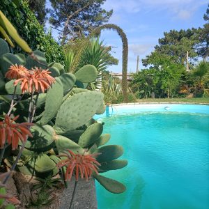 swimmingpool_plants